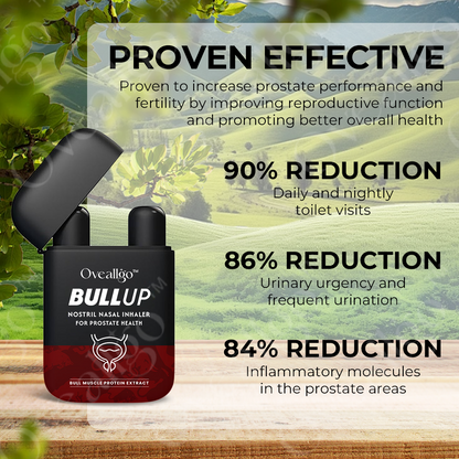 Oveallgo™ Spain BullUp Double Holes Nasal Inhaler for Prostate Health